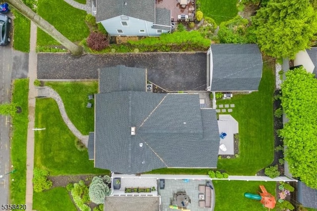 bird's eye view