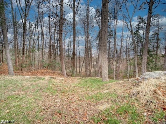 view of yard featuring a forest view