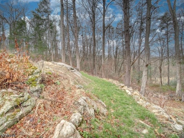 view of wooded area