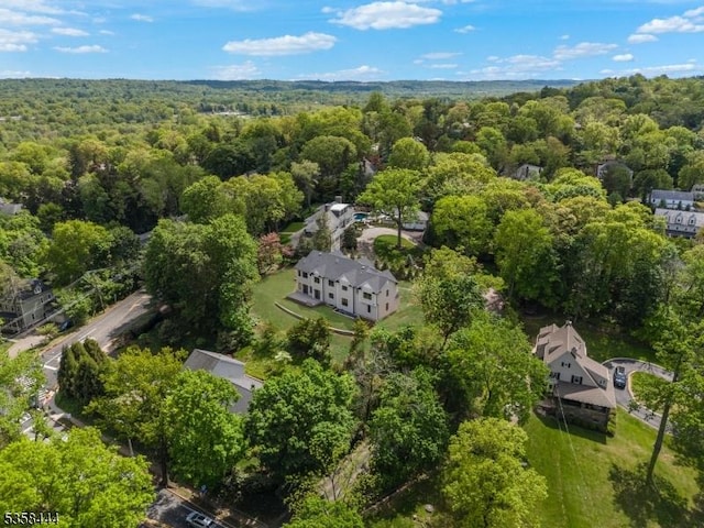 128 Fairmount Ave, Chatham Boro, NJ 07928 - drone / aerial view of a forest