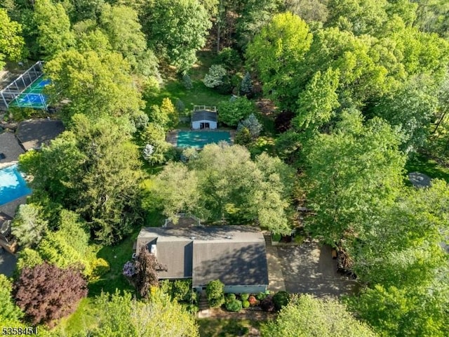 64 Old Smalleytown Rd, Warren Twp, NJ 07059 - view of subject property featuring a pool and a forest