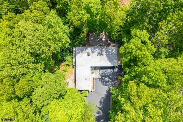 1178 Johnston Dr, Watchung Boro, NJ 07069 - view from above of property