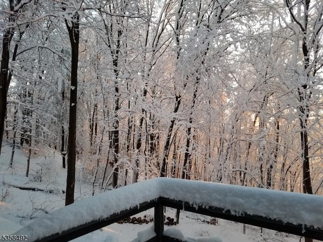 1178 Johnston Dr, Watchung Boro, NJ 07069 - exterior view of a heavily wooded area