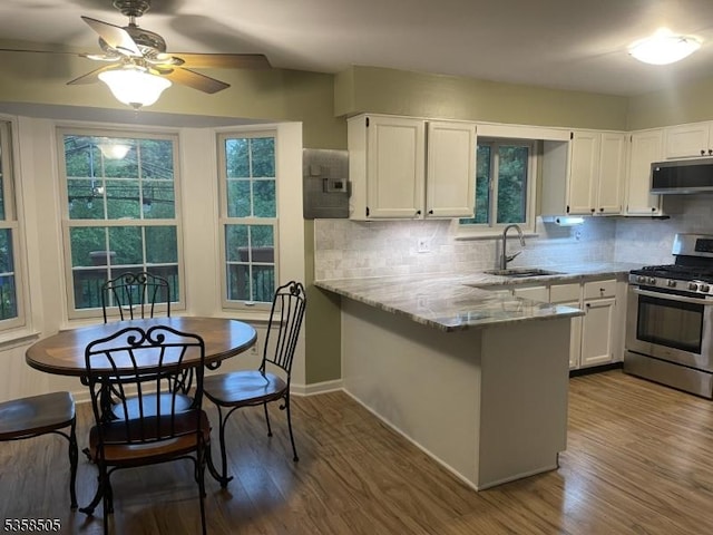kitchen with appliances with stainless steel finishes, a sink, dark wood-type flooring, white cabinetry, and light stone counters