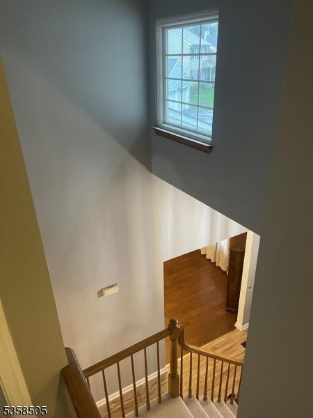 staircase featuring a high ceiling