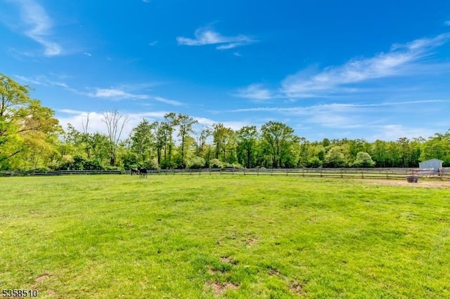 view of yard featuring a view of rural / pastoral area