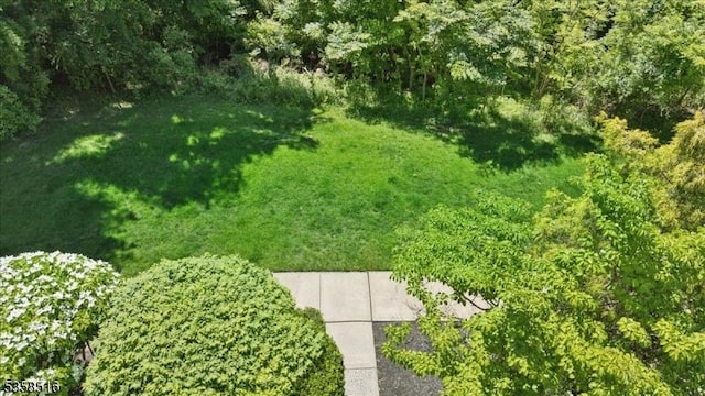 24 Stevens Ct, Bedminster Twp, NJ 07921 - view of yard
