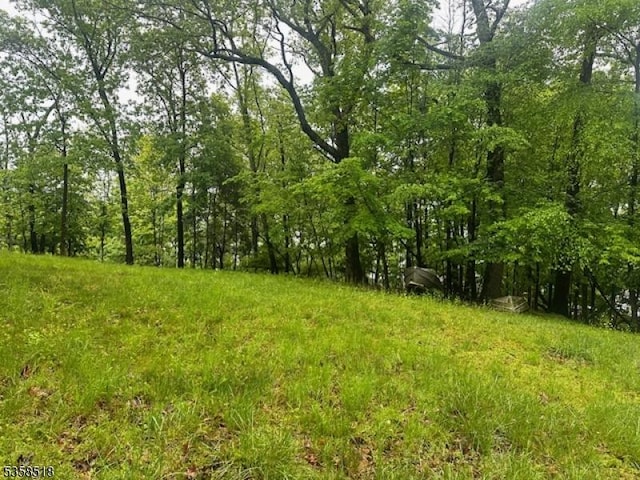view of undeveloped land