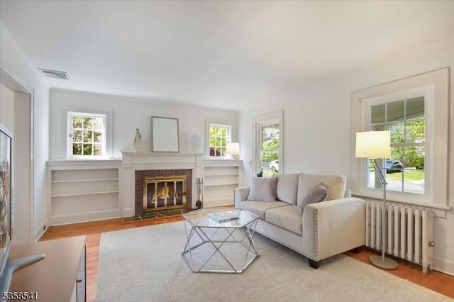 22 Bailey Rd, Millburn Twp, NJ 07041 - living area featuring radiator heating unit, healthy amount of natural light, and light wood-type flooring