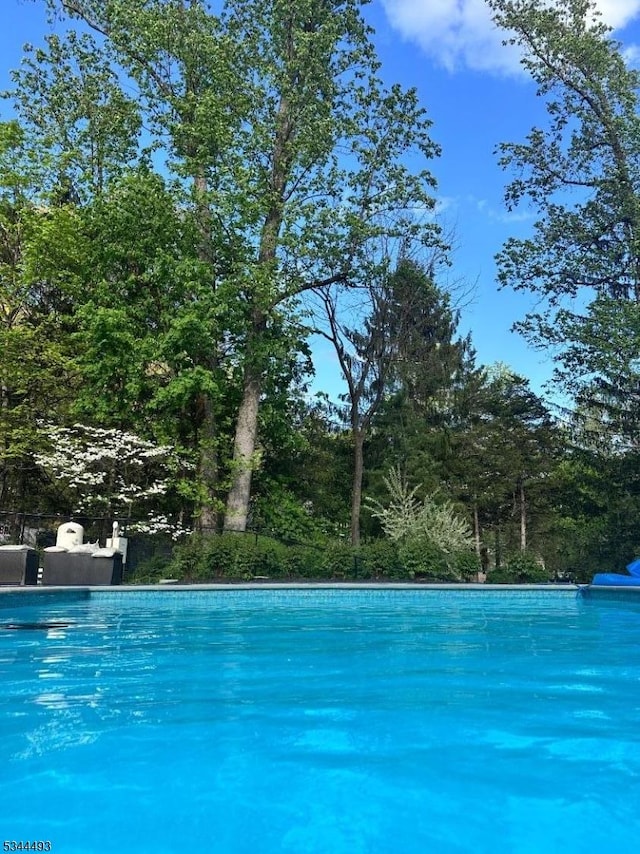 view of outdoor pool