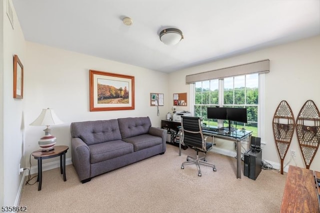 11 Brookside Dr, Peapack Gladstone Boro, NJ 07934 - home office with carpet floors and baseboards