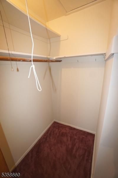 293 Oak Ridge Rd, Clark Twp, NJ 07066 - spacious closet with carpet flooring
