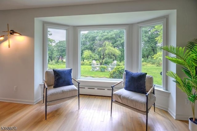 25 Highland Ave, Peapack Gladstone Boro, NJ 07931 - living area featuring a baseboard radiator, healthy amount of natural light, and light wood-style flooring