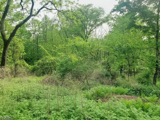 0 Beavers St, High Bridge Boro, NJ 08829