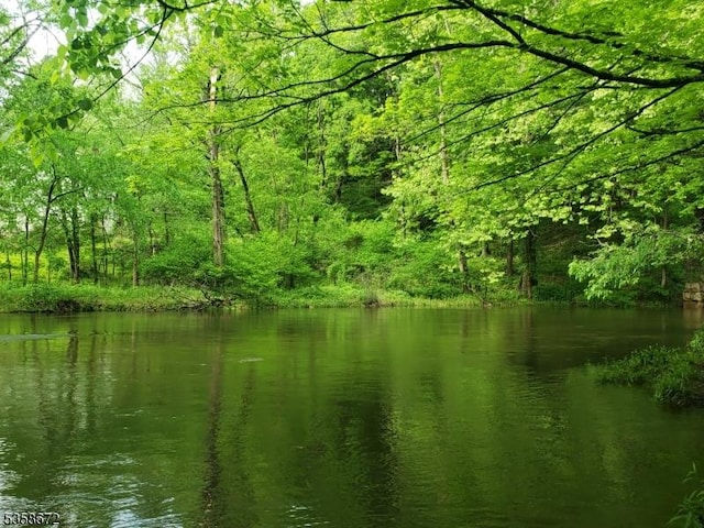0 Beavers St, High Bridge Boro, NJ 08829