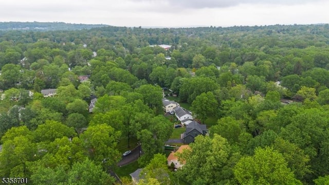 72 Brookside Dr, New Providence Boro, NJ 07974 - bird's eye view of a forest