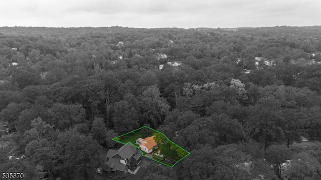 72 Brookside Dr, New Providence Boro, NJ 07974 - aerial view of property and surrounding area with a forest and property parcel outlined