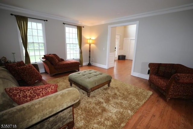 236 Berkley Ave, Montgomery Twp, NJ 08502 - living area with wood finished floors, ornamental molding, and baseboards