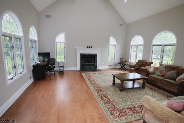 236 Berkley Ave, Montgomery Twp, NJ 08502 - living room featuring high vaulted ceiling, plenty of natural light, wood finished floors, an office area, and a fireplace with flush hearth