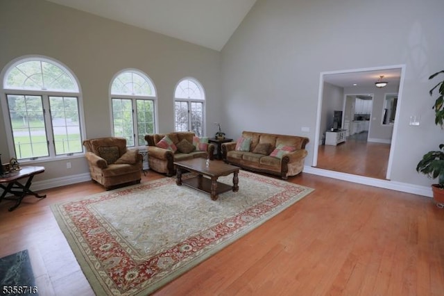 236 Berkley Ave, Montgomery Twp, NJ 08502 - living room with high vaulted ceiling, wood finished floors, and baseboards