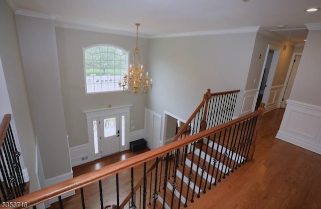 236 Berkley Ave, Montgomery Twp, NJ 08502 - entryway featuring a decorative wall, wood finished floors, a chandelier, a wainscoted wall, and crown molding