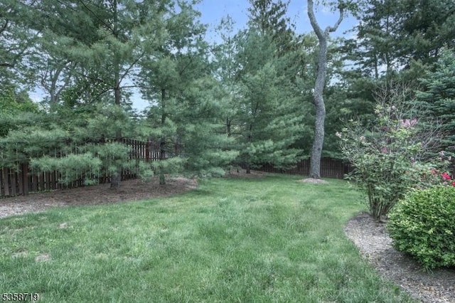 4-A Southview Rd, Randolph Twp, NJ 07869 - view of yard