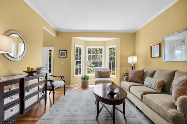 9 Blue Bird Ct, Randolph Twp, NJ 07869 - living room with crown molding, baseboards, and wood finished floors