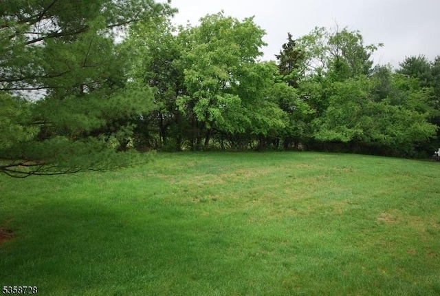 view of grassy yard