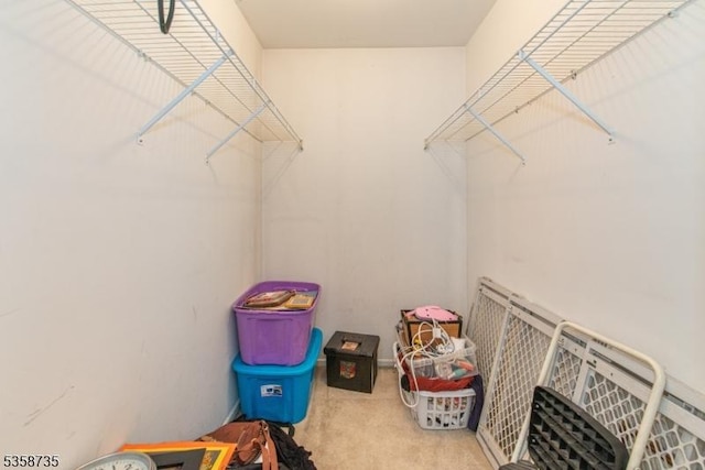 143 Crenshaw Dr, Mount Olive Twp, NJ 07836 - walk in closet featuring carpet
