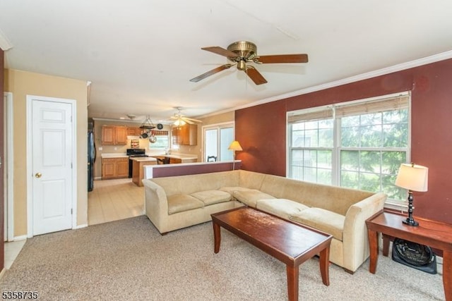 143 Crenshaw Dr, Mount Olive Twp, NJ 07836 - living area featuring a ceiling fan, crown molding, and light carpet