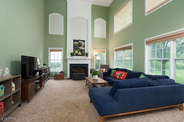 3 Firestone Ct, Montgomery Twp, NJ 08558 - living area with carpet floors, a high ceiling, and a fireplace