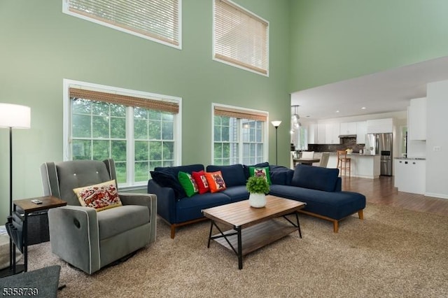 3 Firestone Ct, Montgomery Twp, NJ 08558 - living area featuring a high ceiling and light wood-style flooring