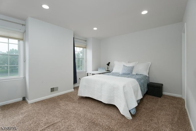 3 Firestone Ct, Montgomery Twp, NJ 08558 - bedroom with multiple windows, carpet floors, recessed lighting, and baseboards