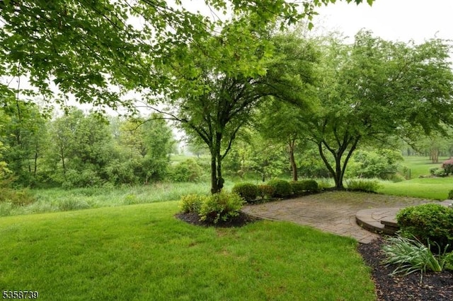 3 Firestone Ct, Montgomery Twp, NJ 08558 - view of grassy yard