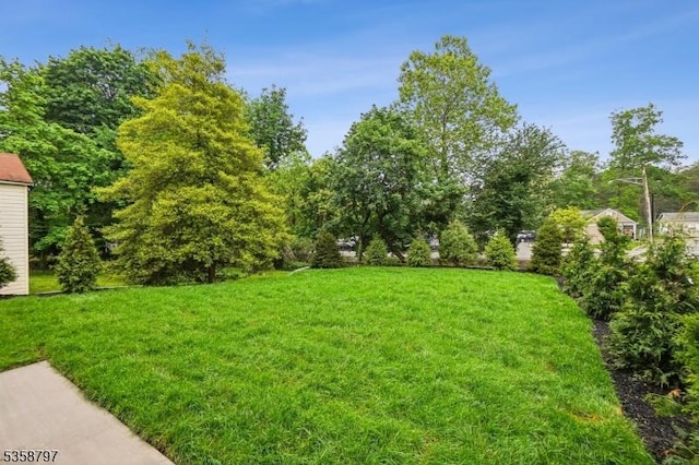 86 Ashwood Ave, Summit City, NJ 07901 - view of green lawn