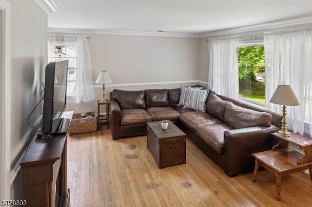 457 Valley Rd, Long Hill Twp, NJ 07933 - living area with light wood finished floors and crown molding