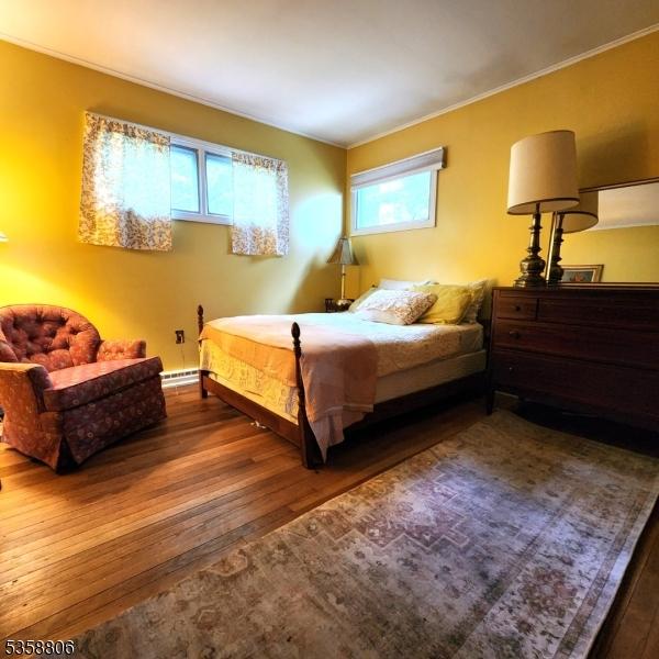 110 Lower N Shore Rd, Frankford Twp, NJ 07826 - bedroom featuring hardwood / wood-style floors, baseboard heating, and crown molding