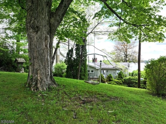 110 Lower N Shore Rd, Frankford Twp, NJ 07826 - view of green lawn