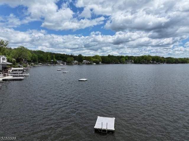 110 Lower N Shore Rd, Frankford Twp, NJ 07826 - water view with a dock