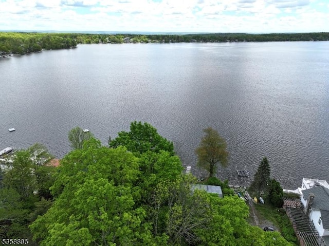 110 Lower N Shore Rd, Frankford Twp, NJ 07826 - bird's eye view of a large body of water