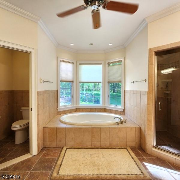 15 Hemlock Ave, Frankford Twp, NJ 07826 - full bath with healthy amount of natural light, a bath, a stall shower, toilet, and ornamental molding