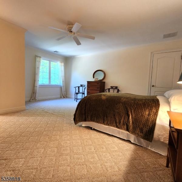 15 Hemlock Ave, Frankford Twp, NJ 07826 - carpeted bedroom with a ceiling fan, baseboards, and crown molding