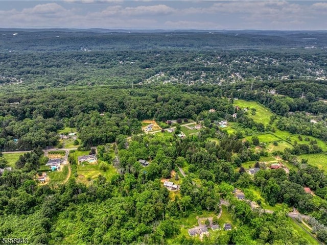 6 Ironia Rd, Chester Twp, NJ 07836 - drone / aerial view of a heavily wooded area