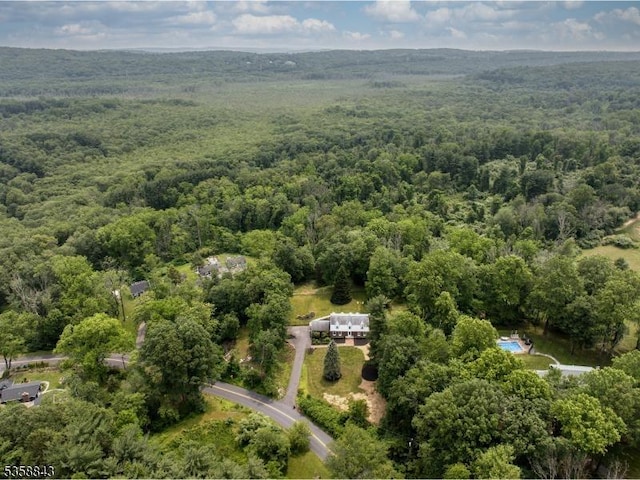 6 Ironia Rd, Chester Twp, NJ 07836 - aerial view of property's location with a forest