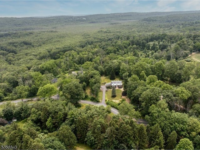 6 Ironia Rd, Chester Twp, NJ 07836 - aerial view of property's location with a heavily wooded area