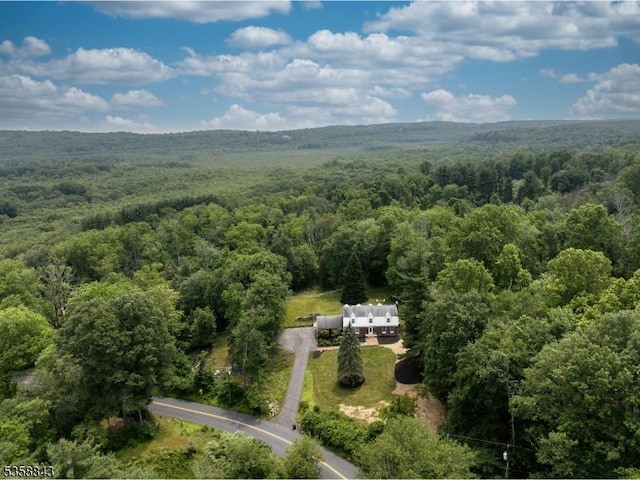 6 Ironia Rd, Chester Twp, NJ 07836 - view of subject property featuring a forest