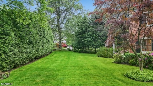 47 Barnsdale Rd, Millburn Twp, NJ 07078 - view of green lawn