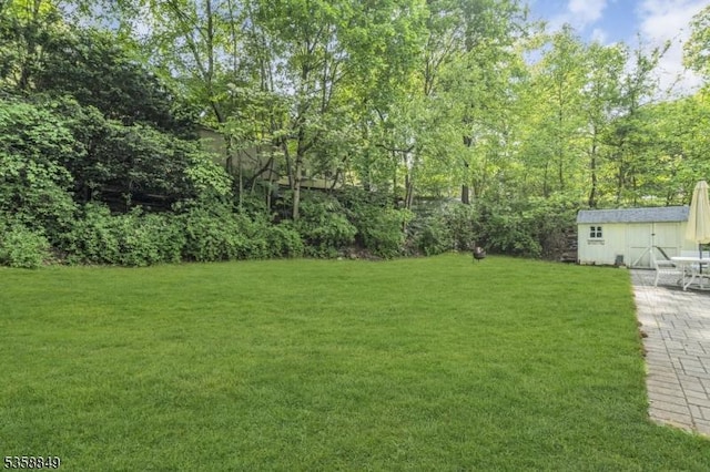 view of grassy yard featuring an outdoor structure, a patio area, and a shed