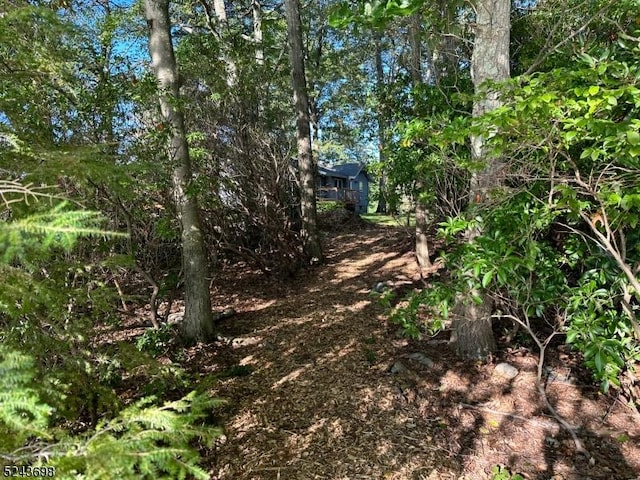 120 Island Rd, Vernon Twp, NJ 07422 - view of yard