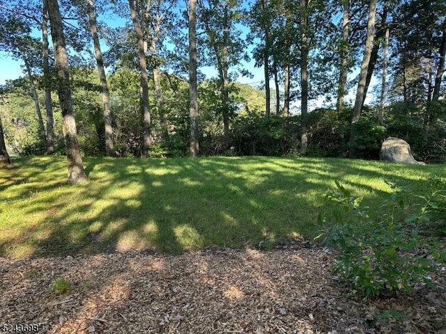 120 Island Rd, Vernon Twp, NJ 07422 - view of green lawn